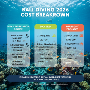 Bali Diving Packages — Bali Diving Cost 2026 — Real Package Pr…