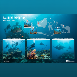 Bali Diving Packages Multi-Day Curated — 3-Day 5-Day 7-Day Itineraries With Pricing
